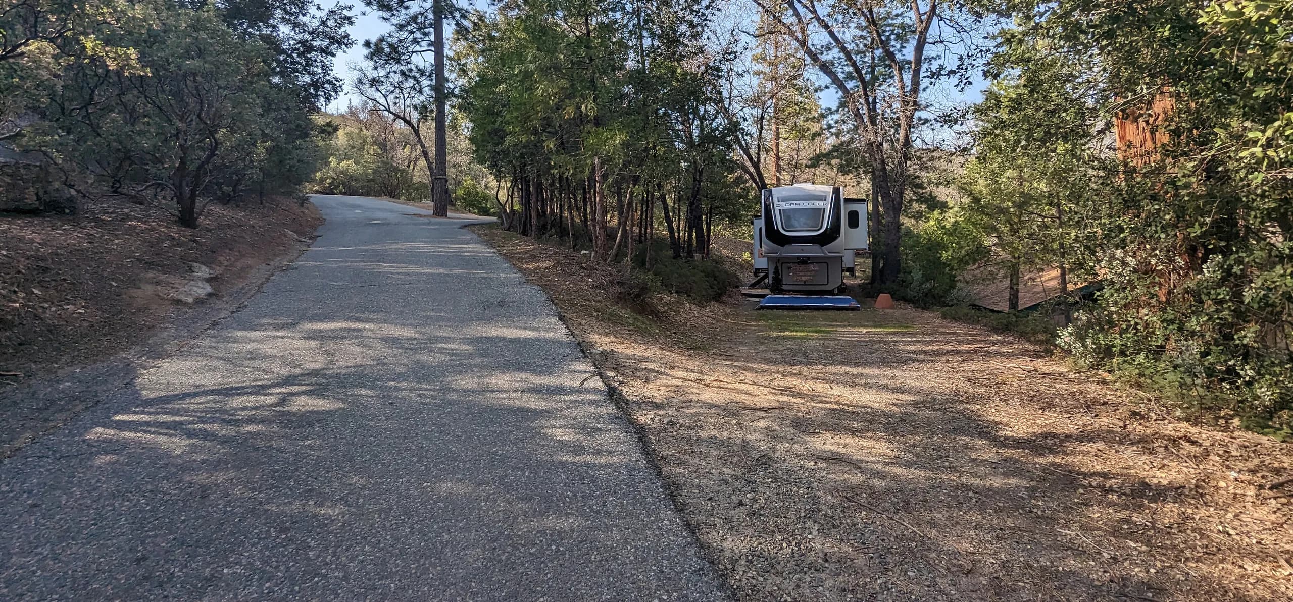 A worn paved road through the pines at the Bass Lake campground, with an RV parked on a bare dirt site beside it