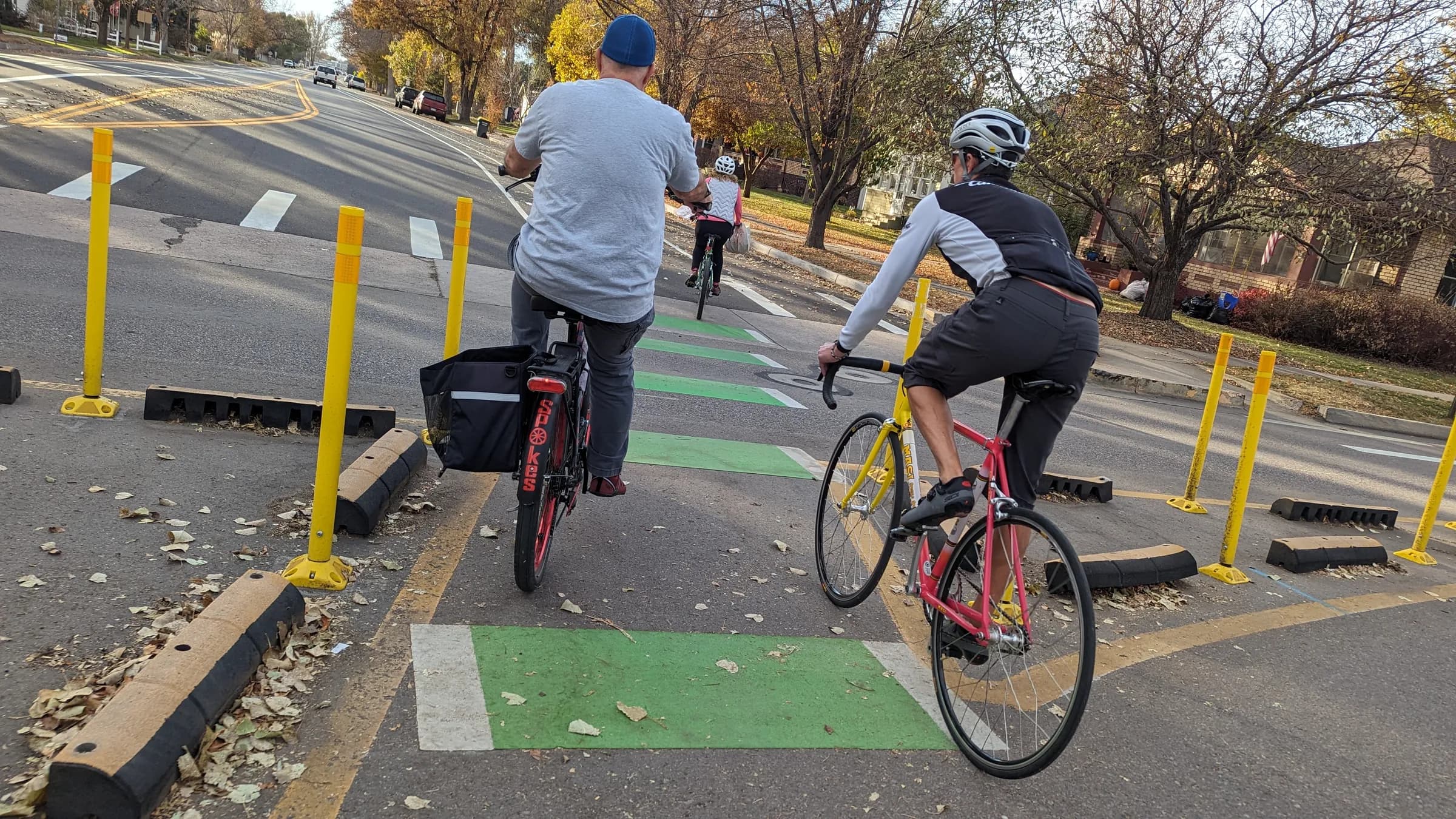 People riding bikes in Windsor, through a bike lane marked in green and lined with yellow posts